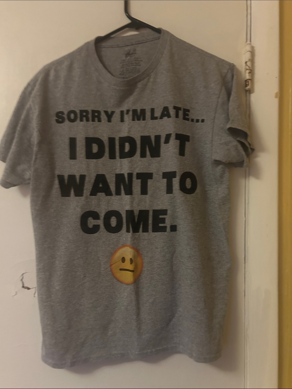Hanes Gray Short Sleeve Tee with Black Text and Emoji in grey update has